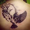 bird