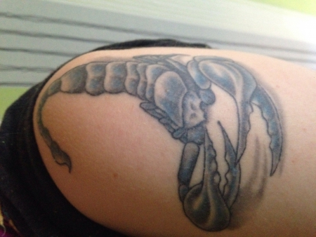 Erstes Tattoo Skorpion