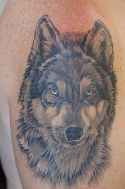 wolf-Tattoo: Wolf