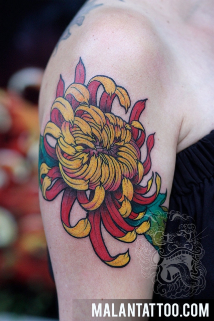 Pfingstrose Blume in Bunt