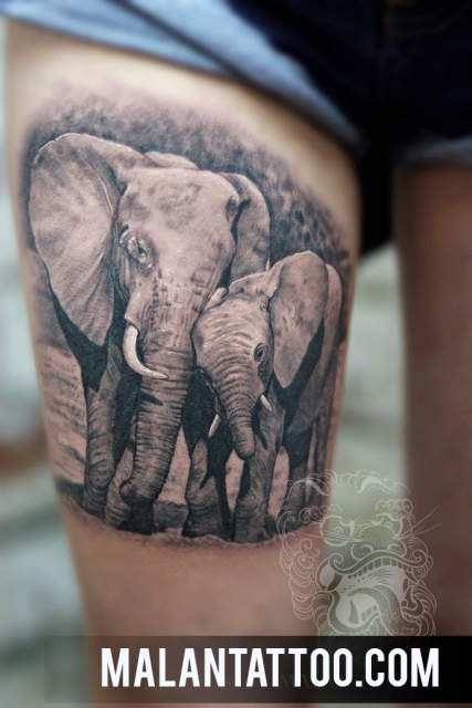 Elefant im schwarzen und grauen Realismus