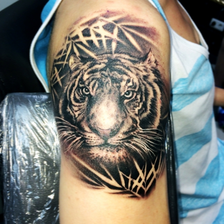 tiger