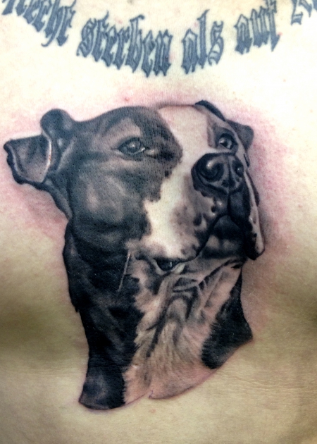 Hundeportrait by Constantin Schuldt, Constantin Ink Dresden