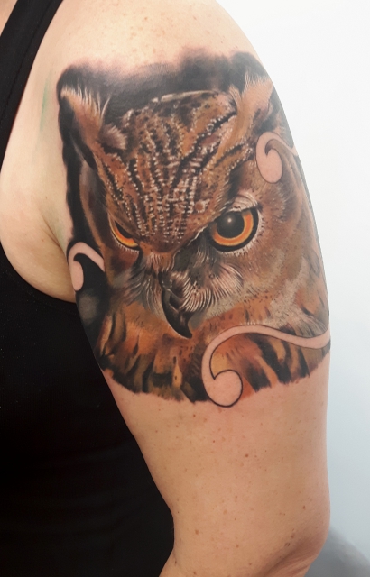 owl