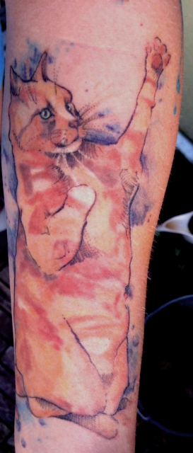biene-Tattoo: Unterarm Kater überarbeitet