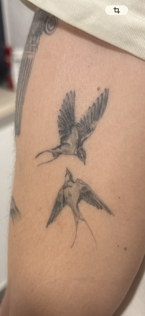 Wie findest ihr mein 1,5 Jahre altes Tattoo?