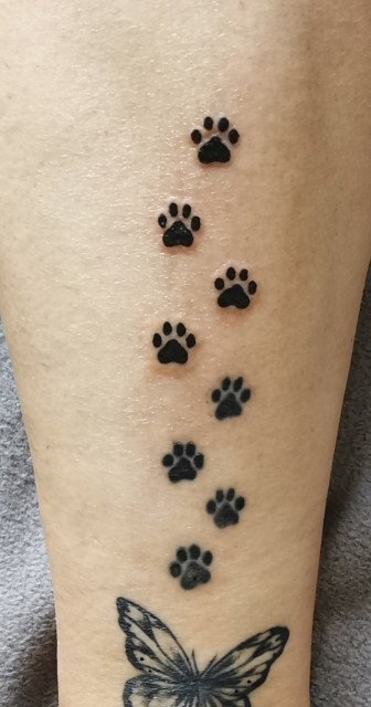 Katzenpfoten tattoo 