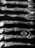 Maori Tattoo Arm in sw