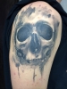 Skull Watercolor