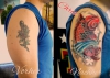 Cover up Koi