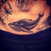 Wale on the belly in dotwork