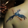 Rio Tattoo