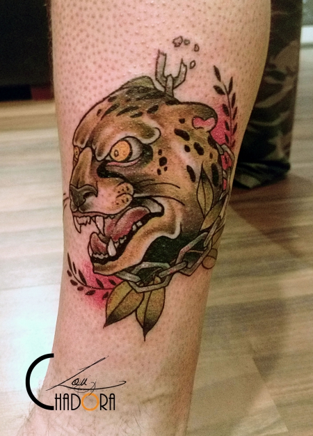 Acinonyx jubatus