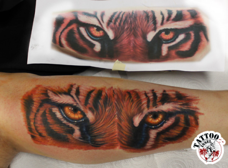 Realistic Tiger 