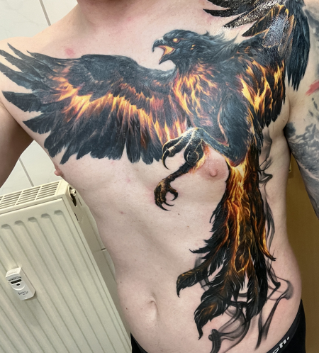 Phoenix brust
