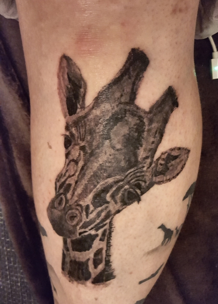 Giraffe 