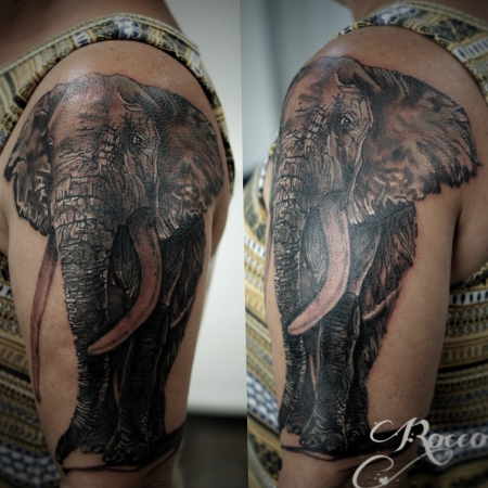 elefant-Tattoo: Elefant 