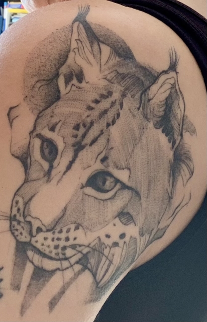 Luchs