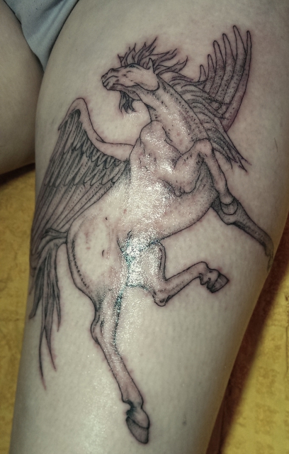 pegasus