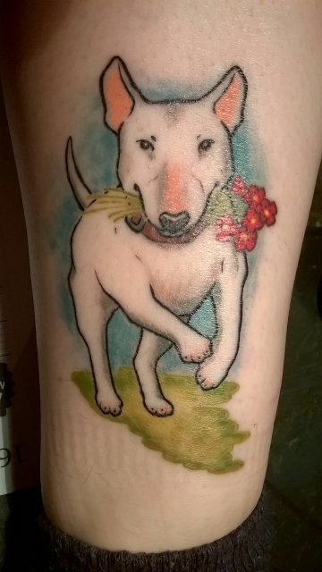 Bullterrier