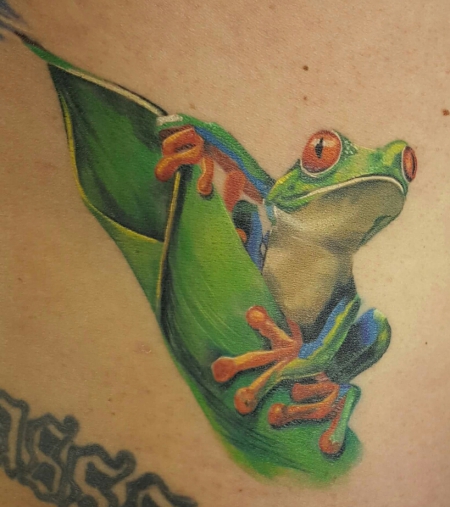 Giftfeilfrosch 