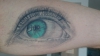 Auge