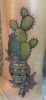 Narbencover Kaktus *frisch*