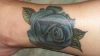 blaue Rose