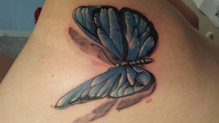 Schmetterling
