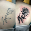 Cover Up Berlin Rose alt zu Neu coverup semt tattoo