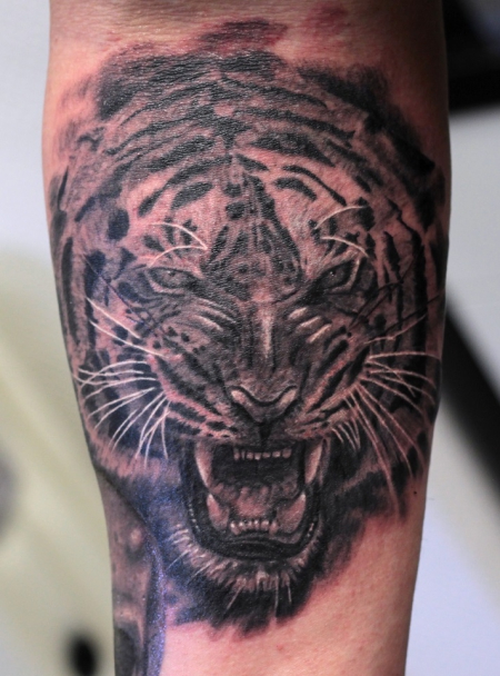 tiger-Tattoo: Tiger Katzi Tatzi