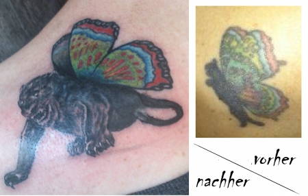 Schwarzer Panther mit Schmetterlingsflügeln