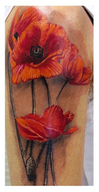 Mohnblumen