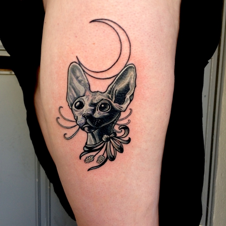 + of the cat and the moon +