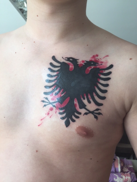 Albanischer  Adler
