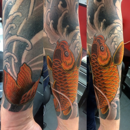 Koi 