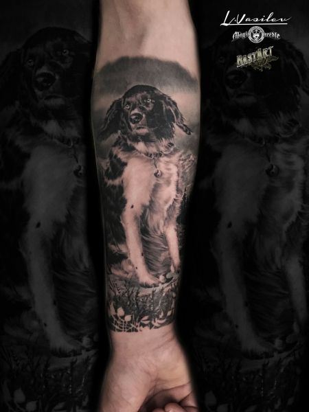 Hund