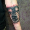 Realistic Hund Portrait Tattoo