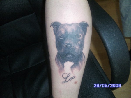 mein verstorbener Hund