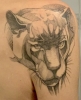 Panther