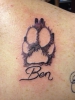 Pfote Ben