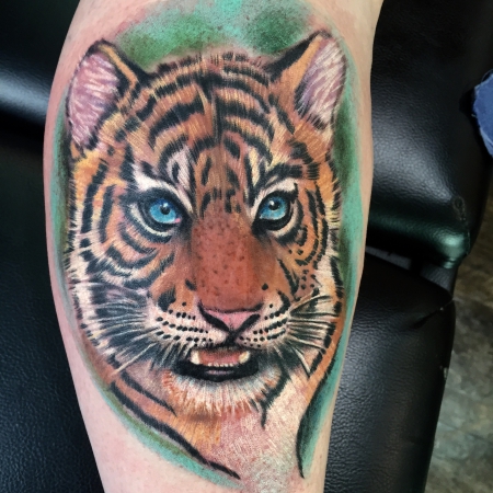 Tiger baby portrait 