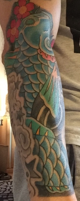 Koi