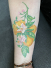 Zitronen und Blüten sowie Blätter 