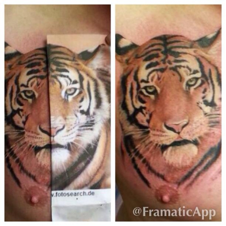 tiger-Tattoo: tiger