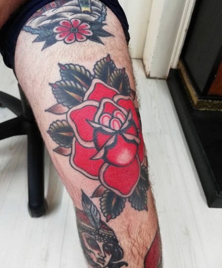 Knie Rose