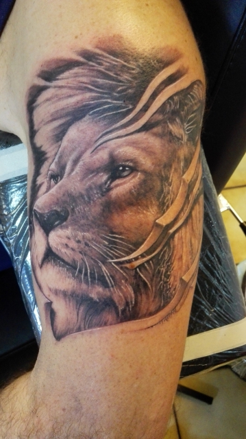 Löwe / Lion