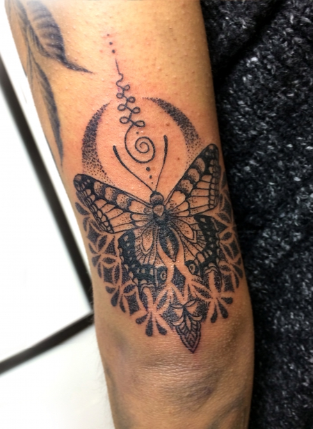butterfly