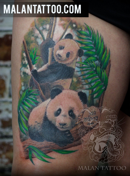 Pandas für immer - Bunt Tattoo