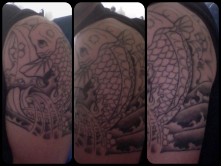 Koi 
